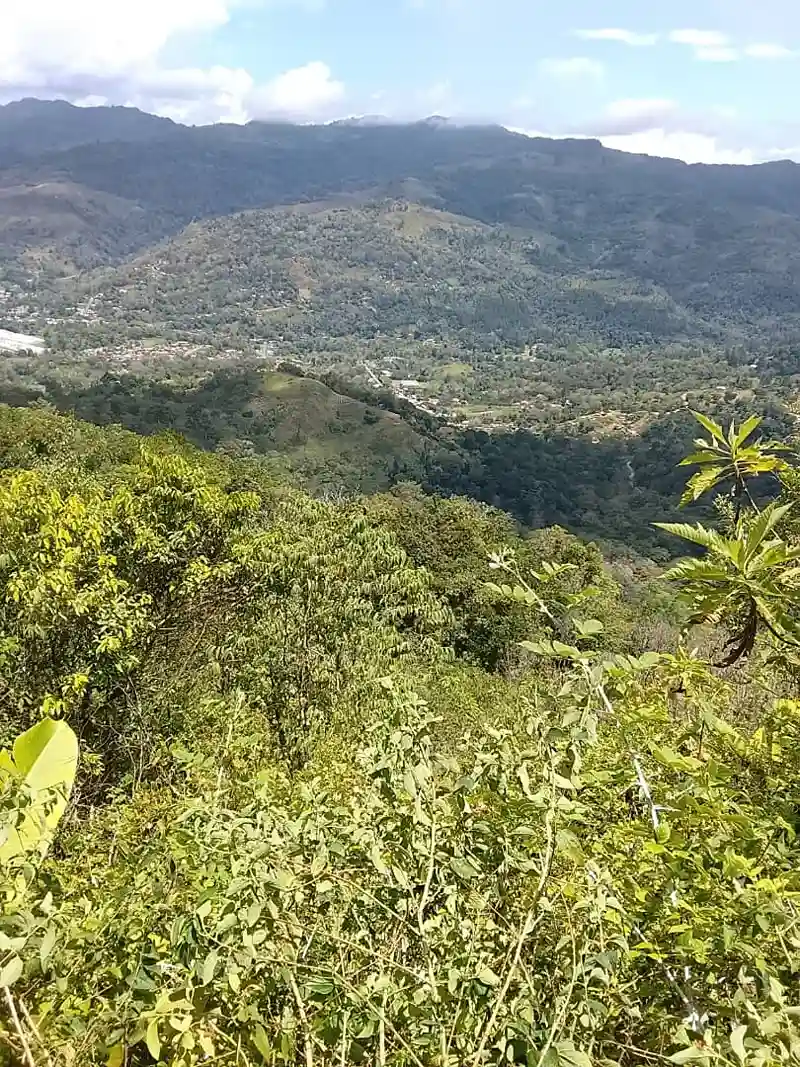 Finca en Teresén Caripe
